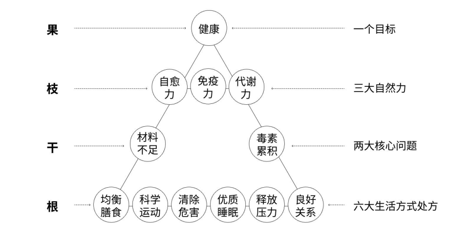 整体健康学概念